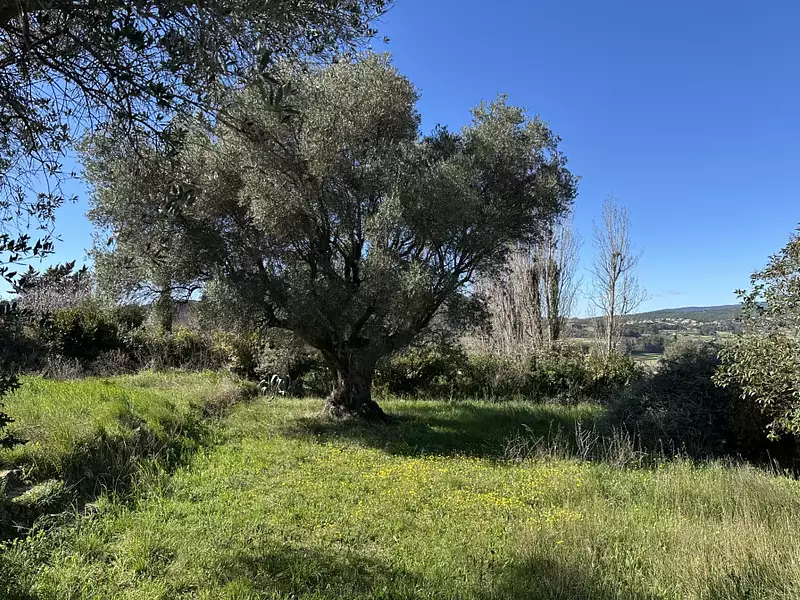 Maison neuve, 112 m² - Puget-Ville (83390)