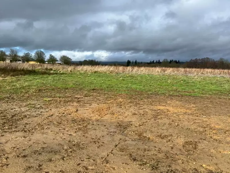 Terrain à bâtir, 941 m² - Cerisé (61000)