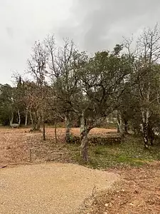 Terrain à bâtir, 600 m²