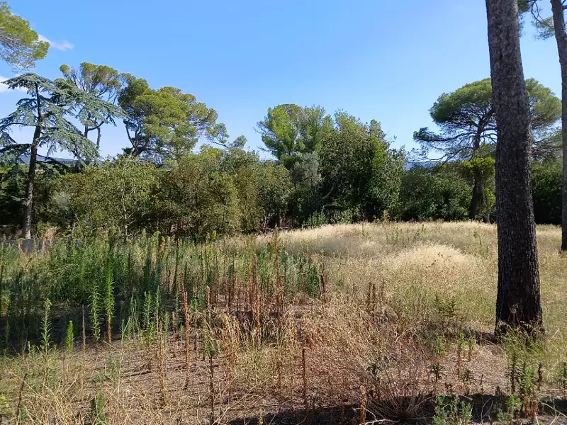 Terrain à bâtir, 900 m² - Cournonsec (34660)