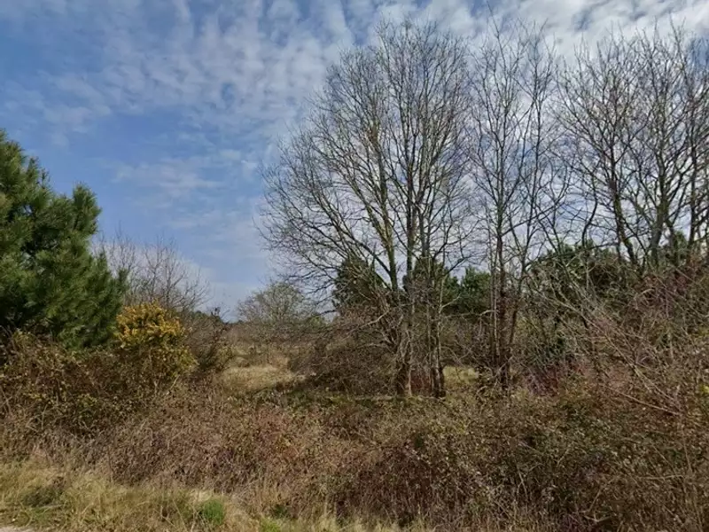 Terrain à bâtir, 360 m² - Le Barp (33114)