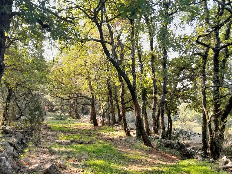 Maison neuve, 135 m² - Saint-Maximin-la-Sainte-Baume (83470)