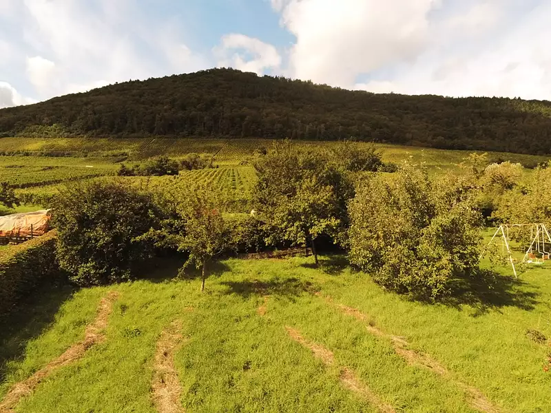 Terrain à bâtir, 521 m² - Châtenois (67730)