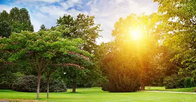 Maison neuve, 80 m²