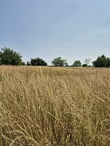 Terrain à bâtir, 1 715 m²