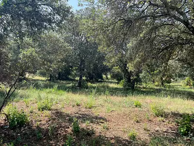 Terrain à bâtir, 1 700 m²