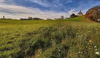 Maison neuve, 90 m²