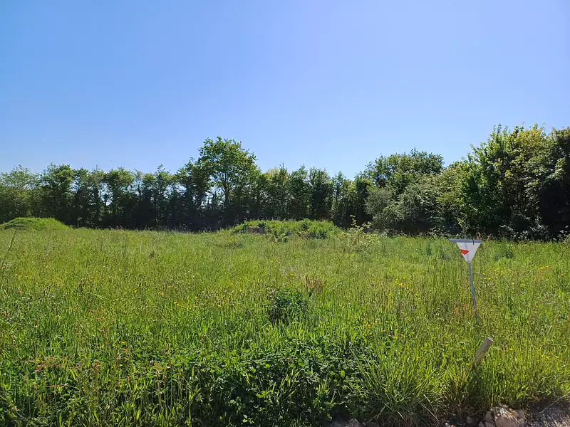 Terrain à bâtir, 431 m² - Mortagne-sur-Sèvre (85290)