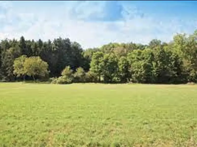 Maison neuve, 90 m² - Marcheprime (33380)