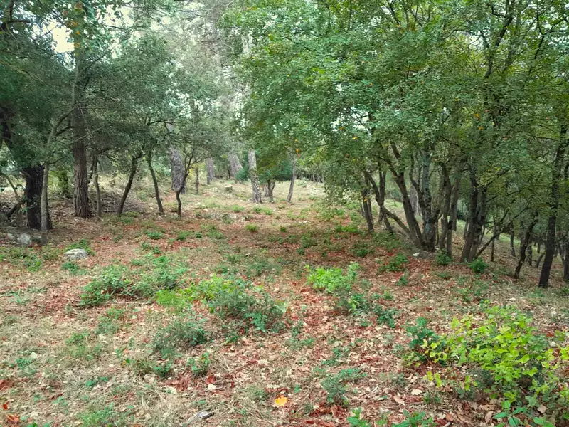 Maison neuve, 90 m² - Saint-Maximin-la-Sainte-Baume (83470)