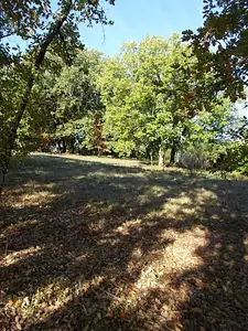 Maison neuve, 100 m²