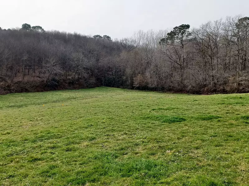 Terrain à bâtir, 762 m² - Saint-Paul-en-Born (40200)