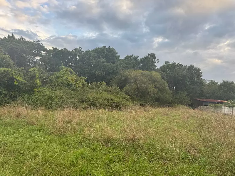 Terrain à bâtir, 955 m² - Vendays-Montalivet (33930)