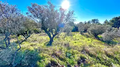 Maison neuve, 100 m²