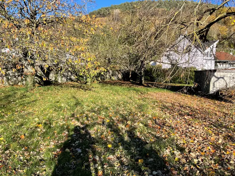 Maison neuve, 100 m² - Buhl (68530)