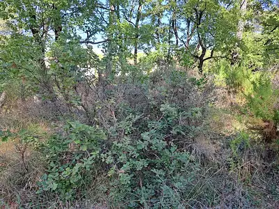 Maison neuve, 77 m²