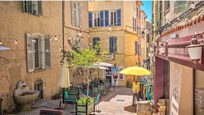 Domaine des oliviers