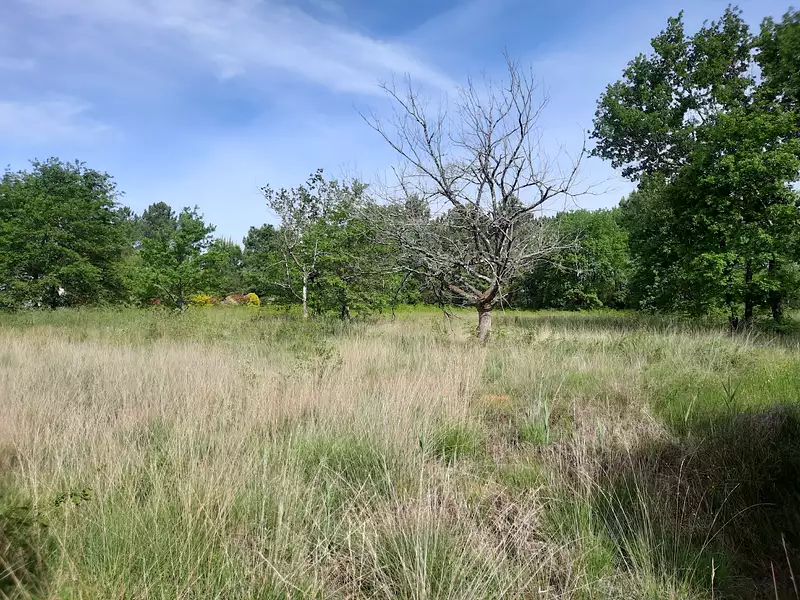 Terrain à bâtir, 593 m² - Beautiran (33640)