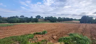 Terrain à bâtir, 1 200 m²