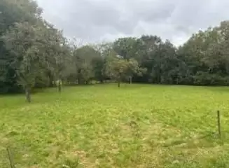 Terrain à bâtir, 1 600 m²