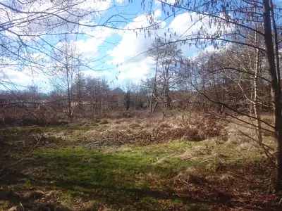 Terrain à bâtir - Vertheuil (33180)