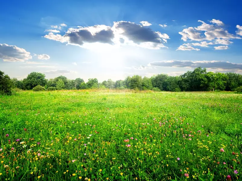 Terrain à bâtir, 574 m² - Biganos (33380)