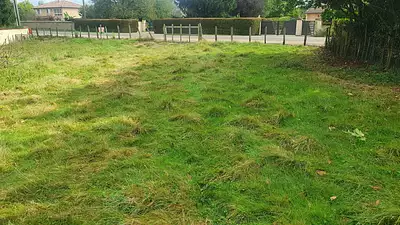 Terrain à bâtir, 900 m²