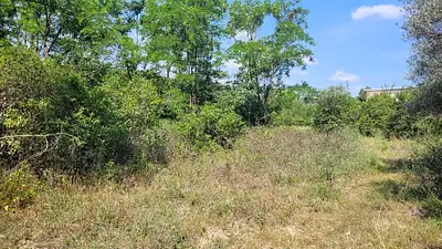 Maison neuve, 100 m²