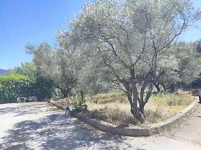 Maison neuve, 64 m²