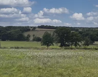 Terrain à bâtir, 2 121 m²