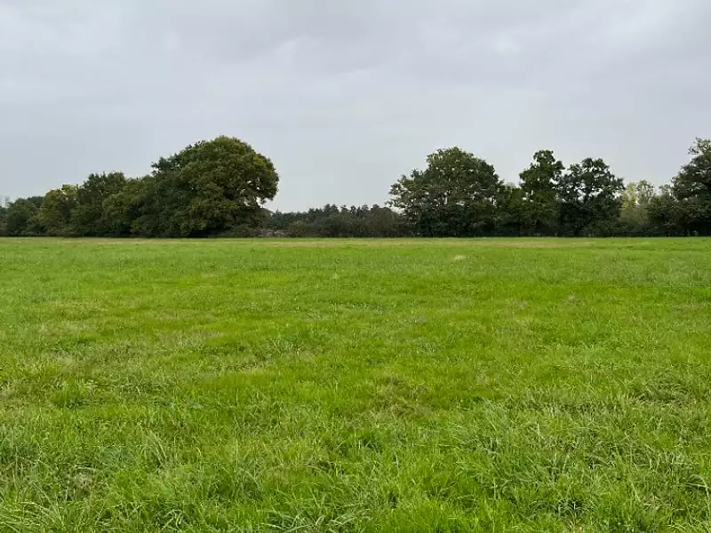 Terrain à bâtir, 424 m² - Alençon (61000)