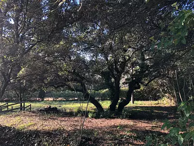 Maison neuve, 64 m²