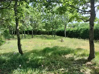 Terrain à bâtir, 1 183 m²