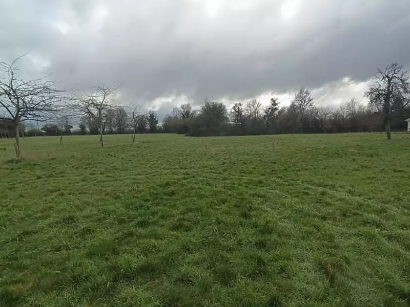 Maison neuve, 86 m² - Saint-Hymer (14130)