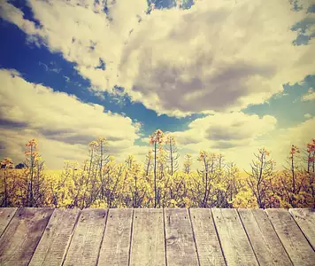 Maison neuve, 128 m²