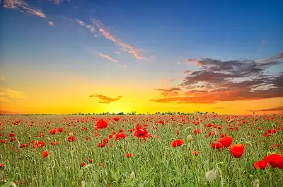 Maison neuve, 79 m²