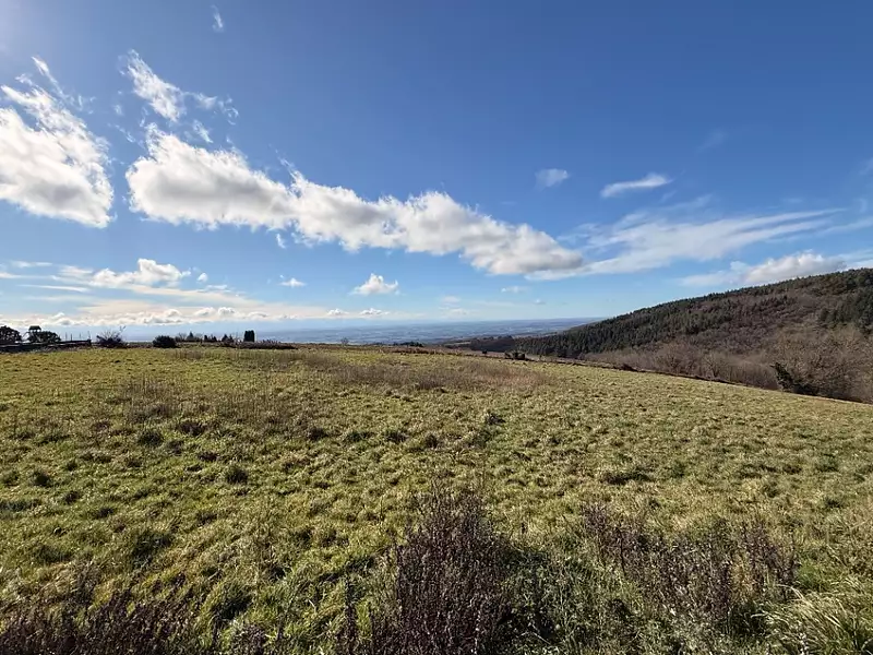 Terrain à bâtir, 2 600 m² - Les Brunels (11400)