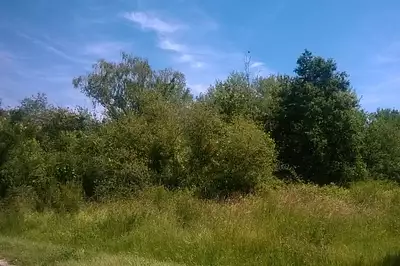 Terrain à bâtir, 1 110 m²