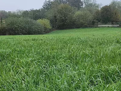 Terrain à bâtir, 543 m²