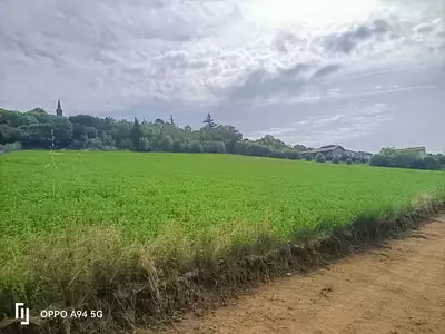 Terrain à bâtir, 748 m²