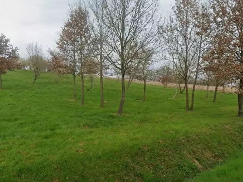 Maison neuve, 50 m² - Rieumes (31370)