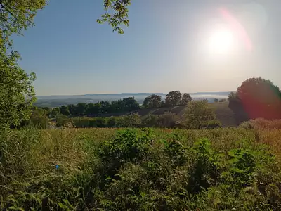 Terrain à bâtir, 1 288 m²