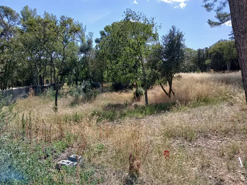 Terrain à bâtir, 901 m² - Cournonsec (34660)