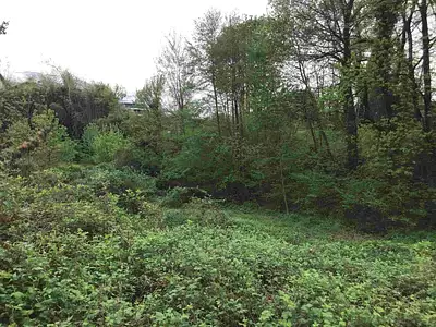 Terrain à bâtir, 586 m²