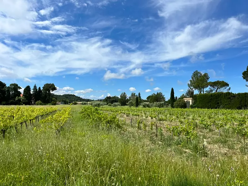 Terrain à bâtir, 455 m² - Domazan (30390)