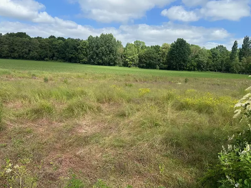 Maison neuve, 88 m² - Serris (77700)