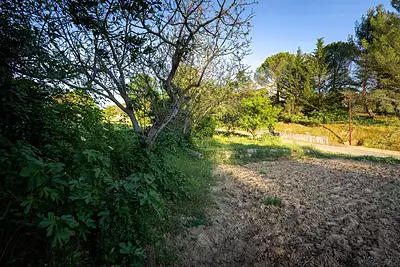 Maison neuve, 90 m²