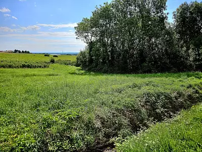Terrain à bâtir, 900 m²