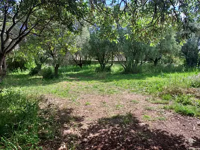 Terrain à bâtir, 449 m²