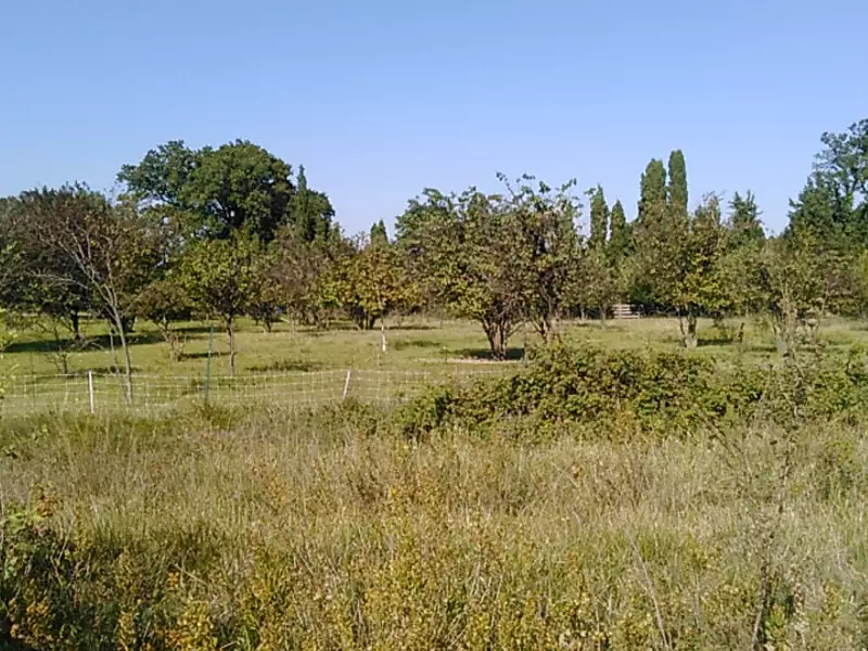 Maison neuve, 130 m² - Rochefort-du-Gard (30650)